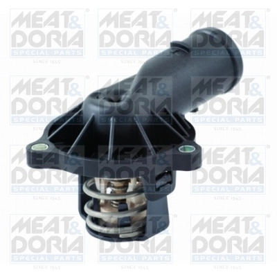 Thermostat, coolant